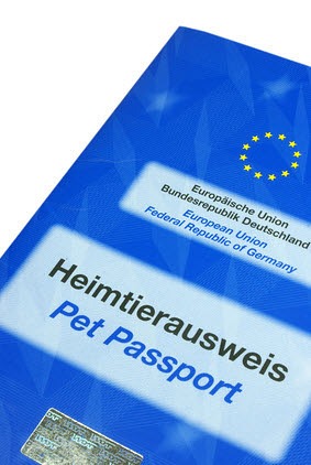 EU Heimtierausweis Husky