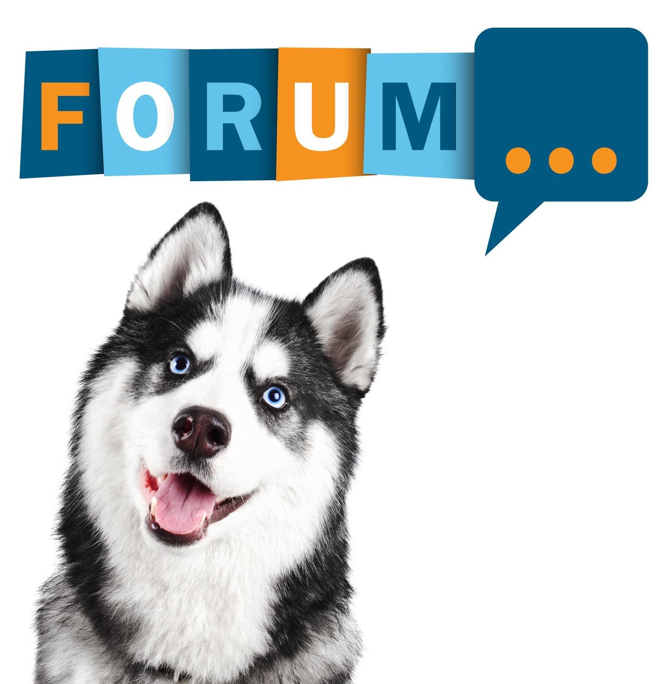 Husky Forum - Fragen und Antworten zum Husky